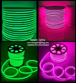 220V Green And Pink LED Neon Strip Lights