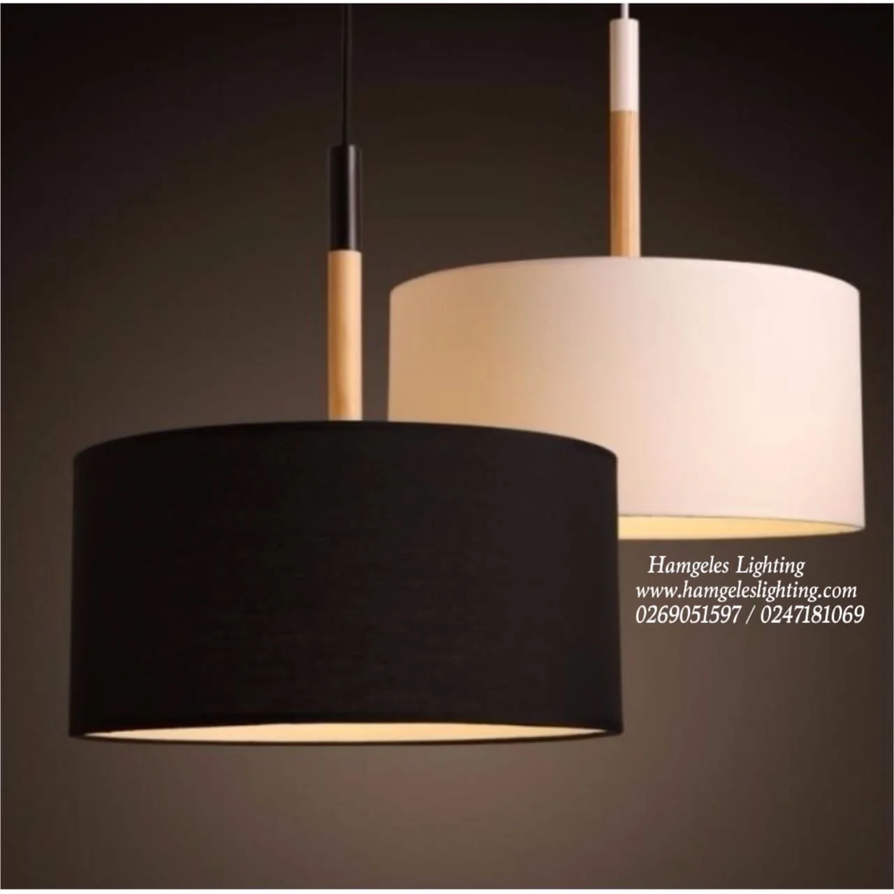 European Hanging Pendant Lights with A Shade