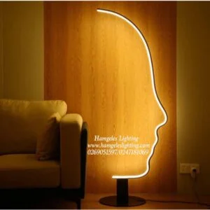 LED Floor or  Standing Lamps