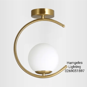 Globe Ceiling Lights